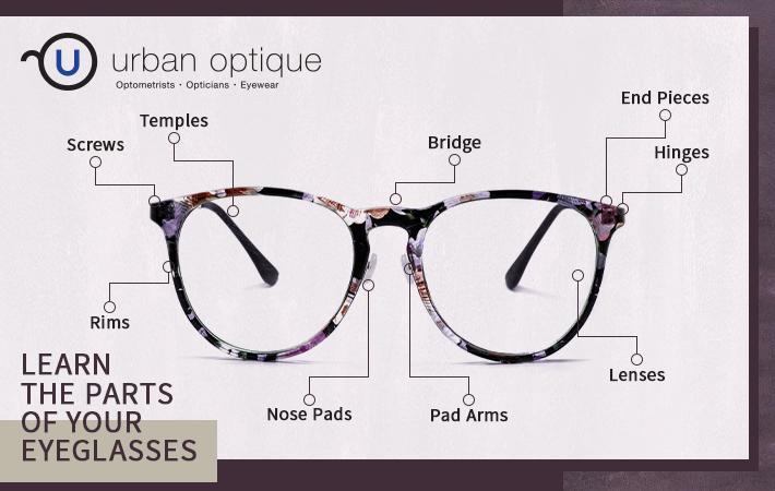 An infographic showing the various parts of an eyeglass.