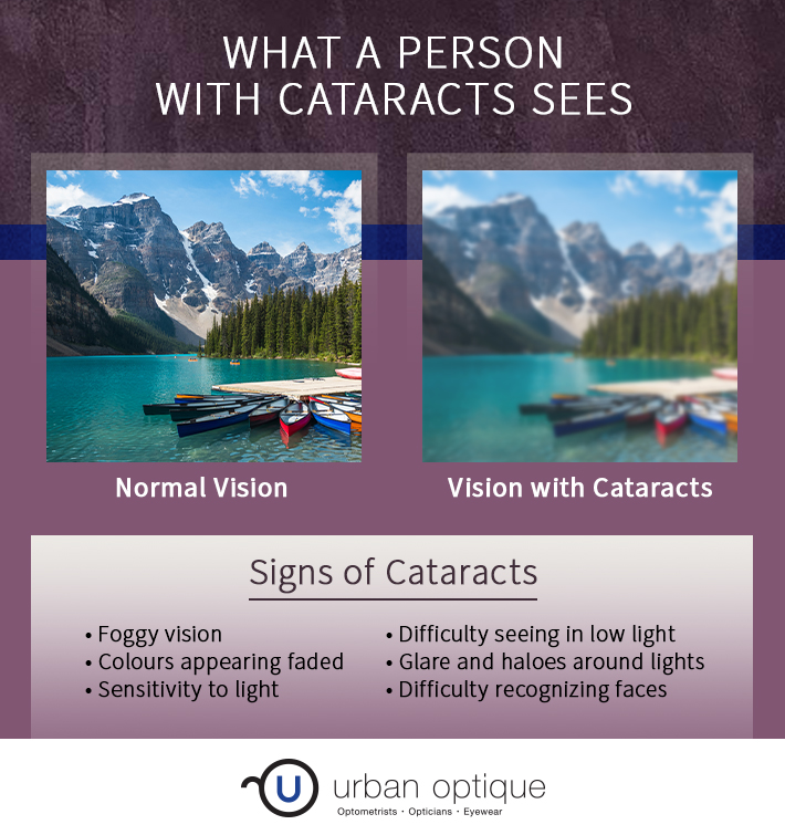 An infographic showing a comparison between normal vision and cataract vision.